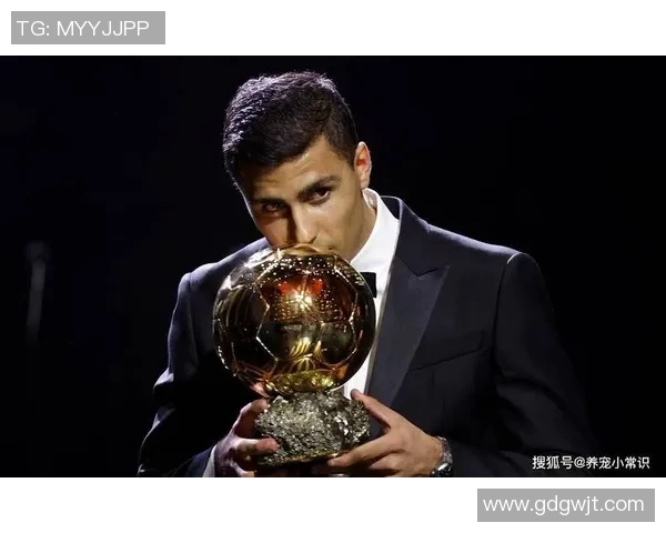 世界顶级男足球员的风采与成就解析